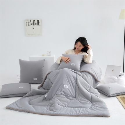 照世 2024新款凉感丝贴布绣抱枕被 天空灰