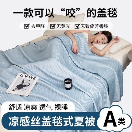 伊被源 2024新款A类华夫格凉感丝盖毯点点夏被 天空蓝