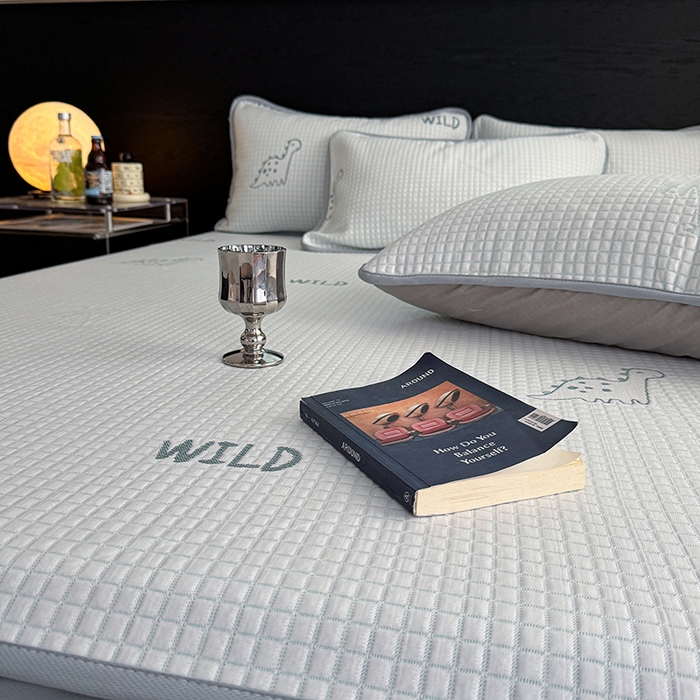 91家纺网 家纺一手货源 找家纺 2024 新款A类立体提花冰豆豆凉感抗菌凉席床笠款 小恐龙绿