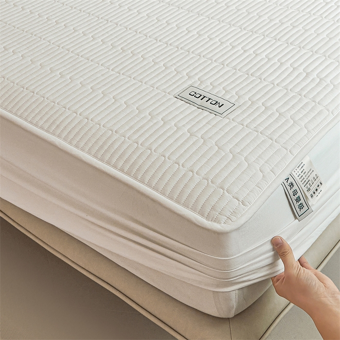 91家纺网 家纺一手货源 找家纺 3C 2024新款A类全棉水洗棉大豆夹棉床笠-初忆 初忆-云朵白