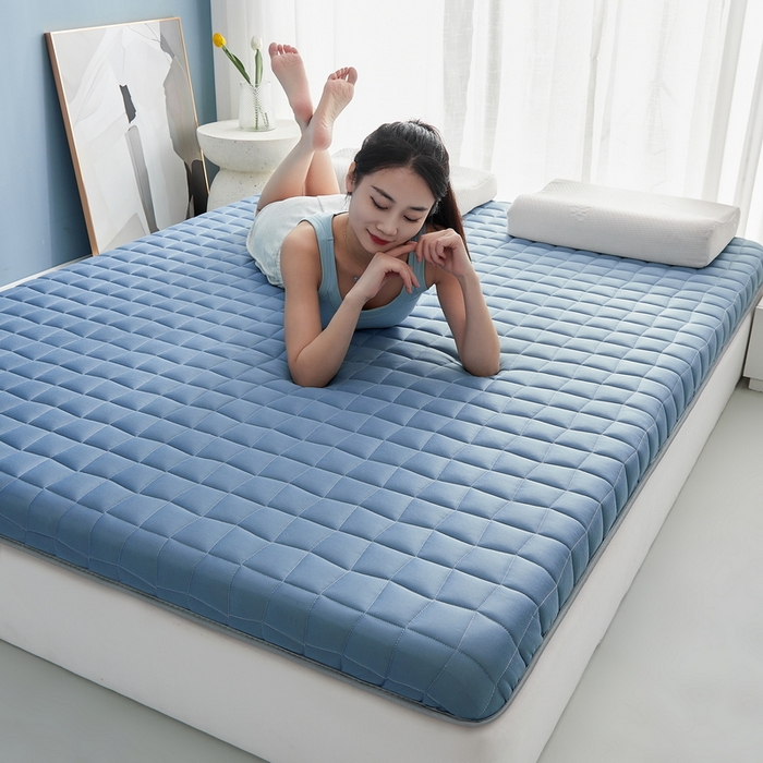 91家纺网 家纺一手货源 找家纺 祁恋婷家居 2024新款牛奶丝乳胶记忆棉床垫【床垫遮盖物】 格子蓝
