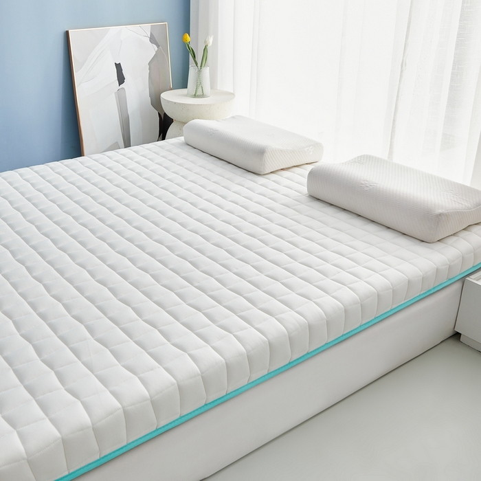 91家纺网 家纺一手货源 找家纺 祁恋婷家居 2024新款牛奶丝乳胶记忆棉床垫【床垫遮盖物】 格子白