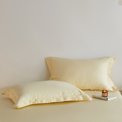 91家纺网 家纺一手货源 找家纺 （总）ROZ home 蕊姿家居 2024新款亲肤舒适60支兰精天丝 枕套