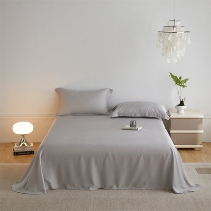 ROZ home 蕊姿家居 2024新款亲肤舒适60支兰精天丝单床单 月白灰