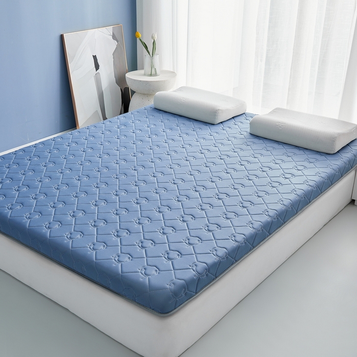 91家纺网 家纺一手货源 找家纺 祁恋婷家居 2024新款牛奶丝乳胶记忆棉床垫【床垫遮盖物】 云朵蓝