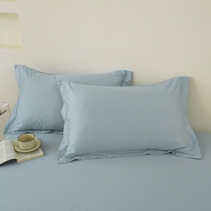 （总）百寐 2024新款纯色轻奢加大全棉枕套信封高端枕芯保护套