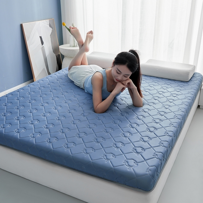 91家纺网 家纺一手货源 找家纺 祁恋婷家居 2024新款牛奶丝乳胶记忆棉床垫【床垫遮盖物】 云朵蓝