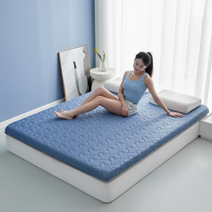 91家纺网 家纺一手货源 找家纺 祁恋婷家居 2024新款牛奶丝乳胶记忆棉床垫【床垫遮盖物】 云朵蓝