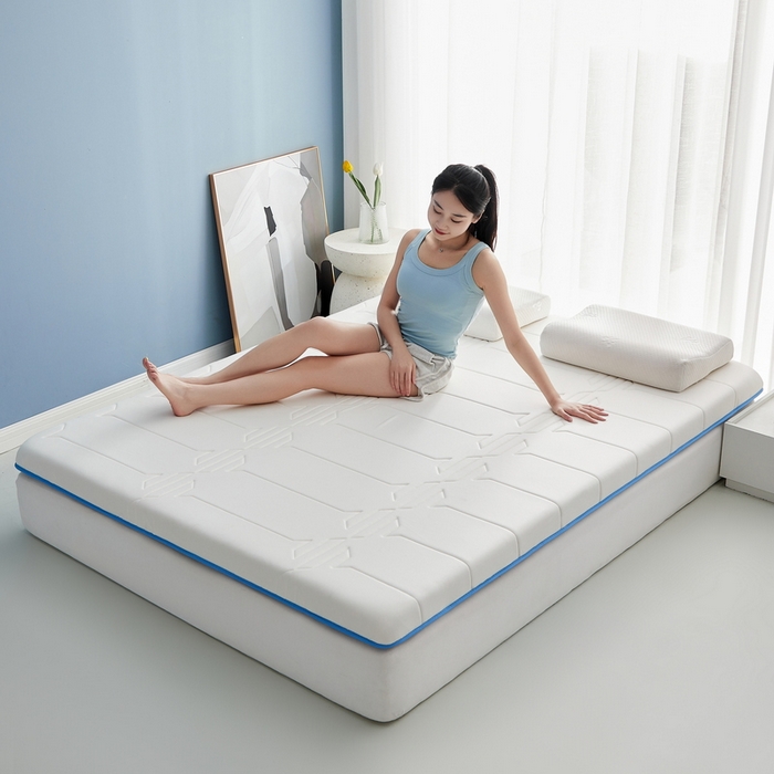 91家纺网 家纺一手货源 找家纺 祁恋婷家居 2024新款牛奶丝乳胶记忆棉床垫【床垫遮盖物】 梦幻白