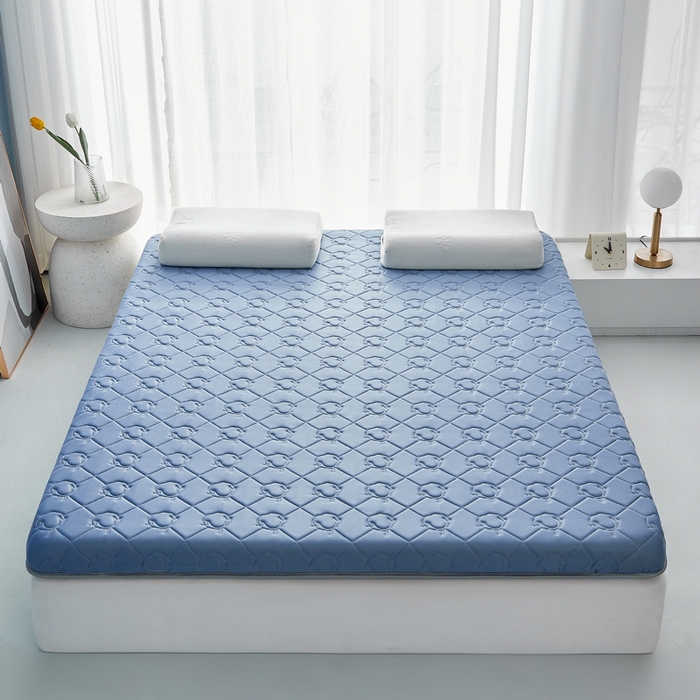 91家纺网 家纺一手货源 找家纺 祁恋婷家居 2024新款牛奶丝乳胶记忆棉床垫【床垫遮盖物】 云朵蓝