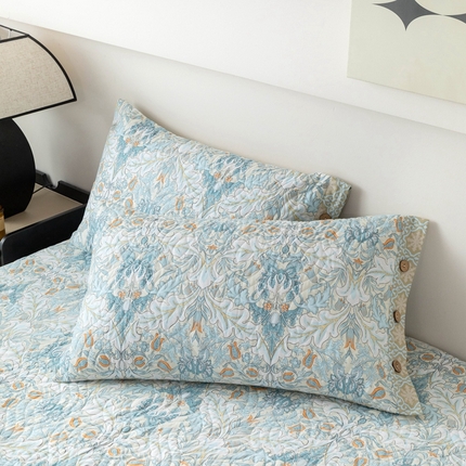 优乐家纺 2025新款纯棉印花夹棉枕套系列-纽扣款 普卡拉-兰