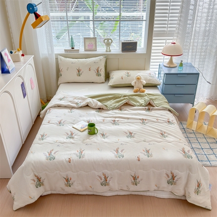 91家纺网 家纺一手货源 找家纺 （总）典雅 2024新款泡泡棉夏被泡芙棉夏凉被空调被