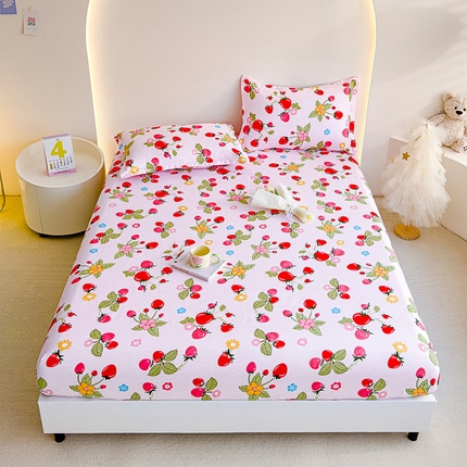 靓生活 2024新款加厚磨毛生态棉单品床笠 盛夏果实