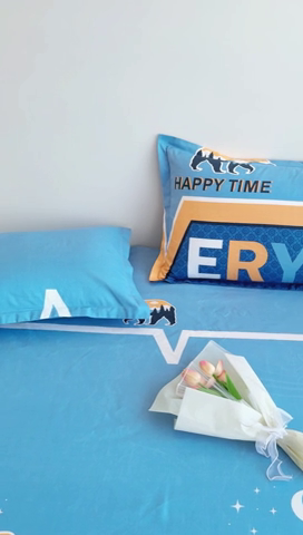 91家纺网 家纺一手货源 找家纺 靓生活 2024新款加厚磨毛生态棉单品床笠 缤纷青春