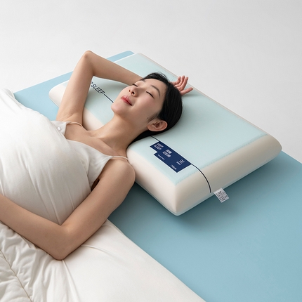 （总）宾笠 2024新款冰感凝胶记忆枕枕头枕芯