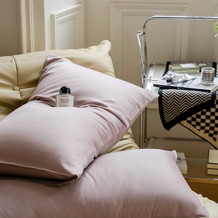 沐晴家纺 2024新款60兰精天丝纯色双拼单枕套 满天星紫-曙光银