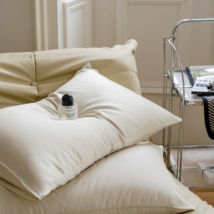 沐晴家纺 2024新款60兰精天丝纯色双拼单枕套 极地白