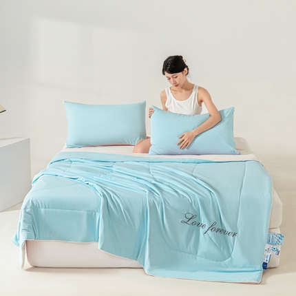 佳居缘 2024新款纯色绣花冰氨夏被 冰清兰