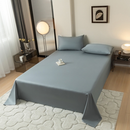 暖季 2025新款40支全棉纯色床单 时尚灰