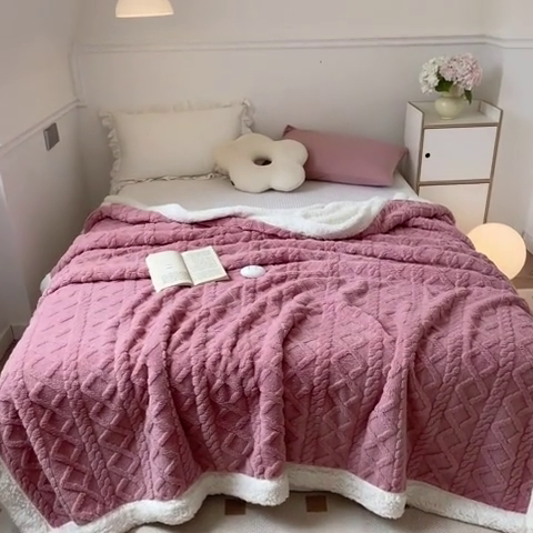 91家纺网 家纺一手货源 找家纺 （总）芸锦豪 2024新款塔芙绒&羊羔绒毛毯