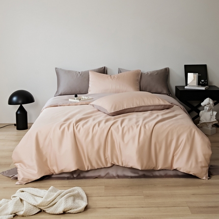 EH 2024新款初夏LF60支天丝双拼色四件套系列 奶油杏粉