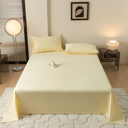 91家纺网 家纺一手货源 找家纺 （总）暖季 2025新款40支全棉纯色床单