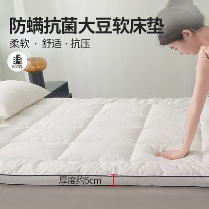 丽诺 2024新款防螨大豆纤维软床垫5厘米 大豆纤维软床垫5厘米白