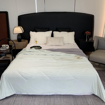 奈萝家纺 2025新款A类凉感丝小凉皮夏被可机洗夏被新品空调被 香草奶冻