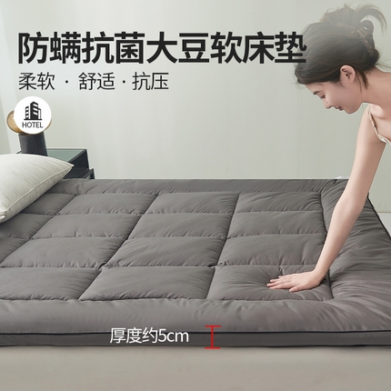 丽诺 2024新款防螨大豆纤维软床垫5厘米 大豆纤维软床垫5厘米灰