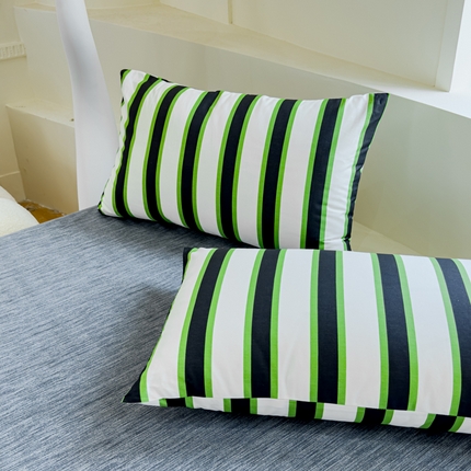 感遇 2024新款全棉印花四件套 黑绿条纹