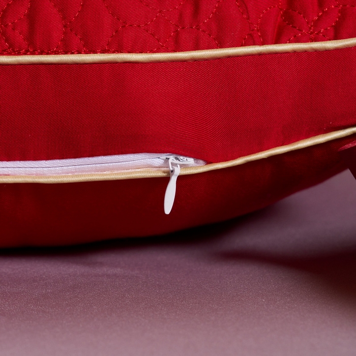 91家纺网 家纺一手货源 找家纺 贤内助 2024新款全棉婚庆羽丝枕保健枕枕头枕芯系列 喜得贵子 48*74cm/只