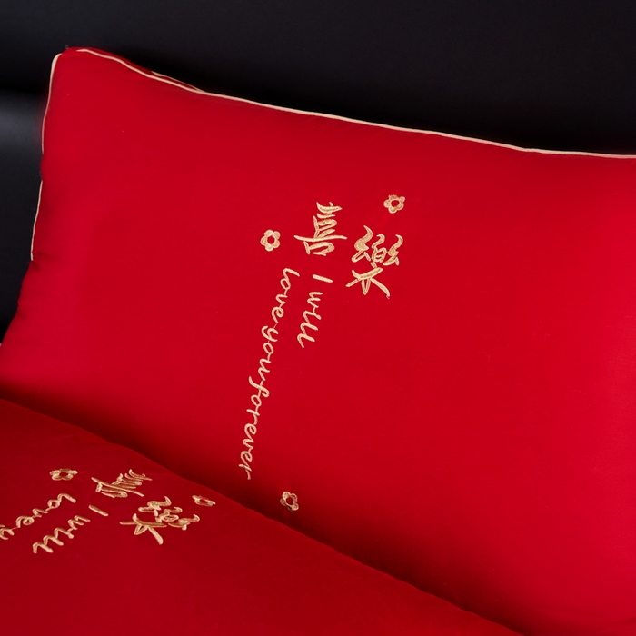 91家纺网 家纺一手货源 找家纺 贤内助 2024新款全棉婚庆羽丝枕保健枕枕头枕芯系列 喜乐 48*74cm/只