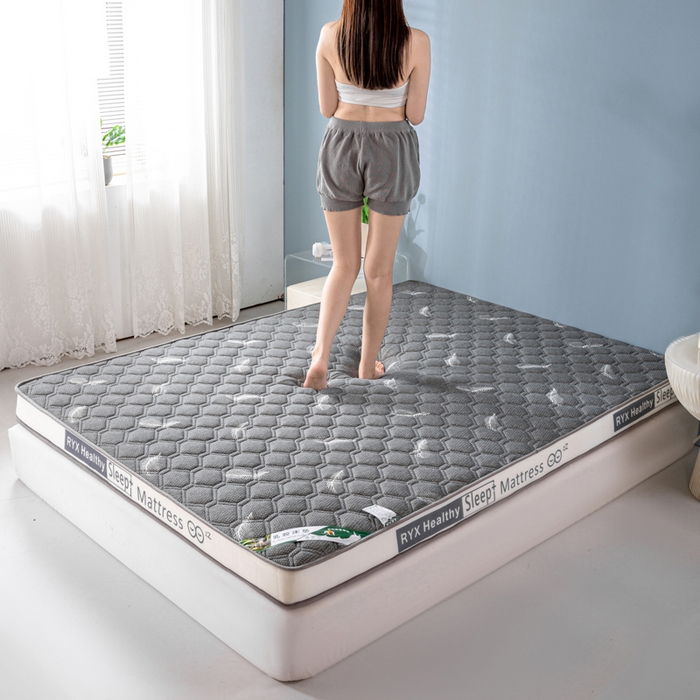 91家纺网 家纺一手货源 找家纺 缔莱被业 2024新款乳胶床垫软垫家用租房宿舍学生Q弹乳胶记忆棉垫--字母 羽毛灰（白）