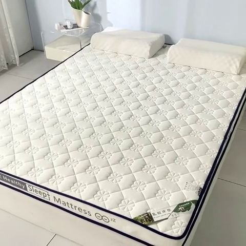 91家纺网 家纺一手货源 找家纺 缔莱被业 2024新款乳胶床垫软垫家用租房宿舍学生Q弹乳胶记忆棉垫--字母 花瓣白（白）