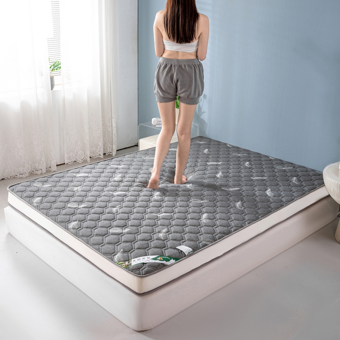 91家纺网 家纺一手货源 找家纺 缔莱被业 2024新款高端简约乳胶抗压记忆棉床垫软垫家用卧室床垫--白边 羽毛灰