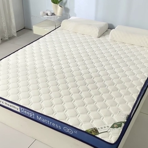 91家纺网 家纺一手货源 找家纺 缔莱被业 2024新款乳胶床垫软垫家用租房宿舍学生Q弹乳胶记忆棉垫--字母 菱形白（蓝）