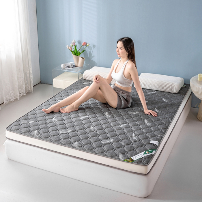 91家纺网 家纺一手货源 找家纺 缔莱被业 2024新款高端简约乳胶抗压记忆棉床垫软垫家用卧室床垫--白边 羽毛灰