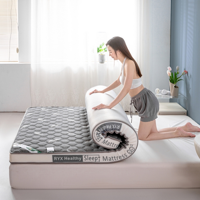 91家纺网 家纺一手货源 找家纺 缔莱被业 2024新款乳胶床垫软垫家用租房宿舍学生Q弹乳胶记忆棉垫--字母 羽毛灰（白）