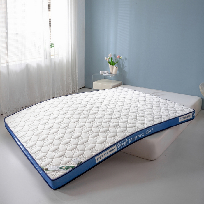 91家纺网 家纺一手货源 找家纺 缔莱被业 2024新款乳胶床垫软垫家用租房宿舍学生Q弹乳胶记忆棉垫--字母 花瓣白（蓝）