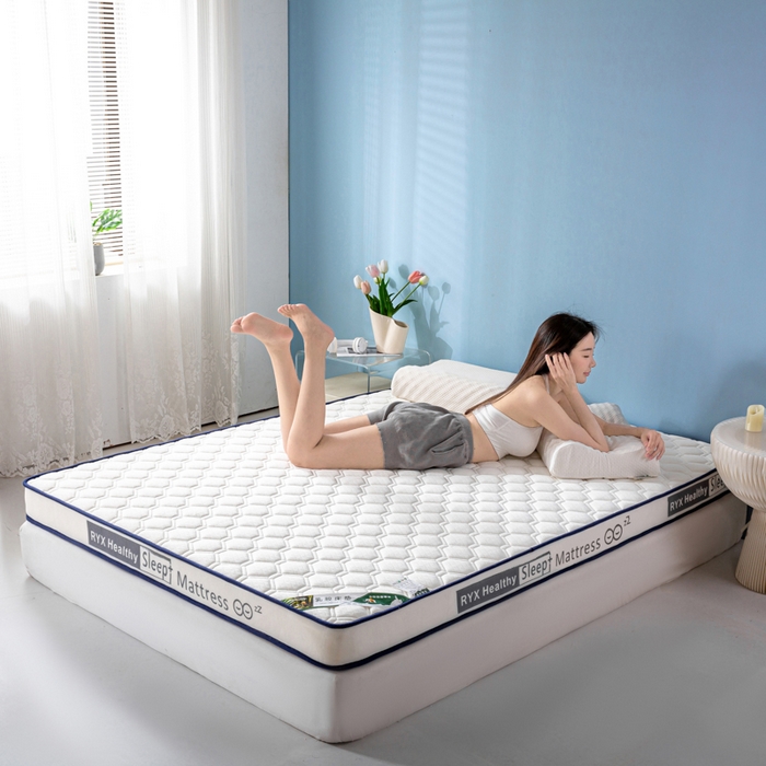 91家纺网 家纺一手货源 找家纺 缔莱被业 2024新款乳胶床垫软垫家用租房宿舍学生Q弹乳胶记忆棉垫--字母 菱形白（白）