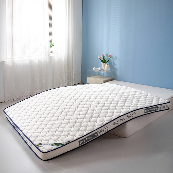 91家纺网 家纺一手货源 找家纺 缔莱被业 2024新款乳胶床垫软垫家用租房宿舍学生Q弹乳胶记忆棉垫--字母 菱形白（白）