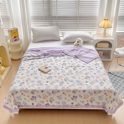 91家纺网 家纺一手货源 找家纺 （总）梵克保罗 2024新款凉感丝豆豆被夏凉被空调被