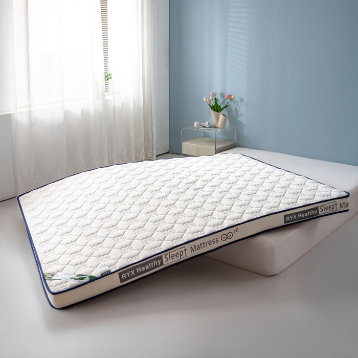 91家纺网 家纺一手货源 找家纺 缔莱被业 2024新款乳胶床垫软垫家用租房宿舍学生Q弹乳胶记忆棉垫--字母 花瓣白（白）