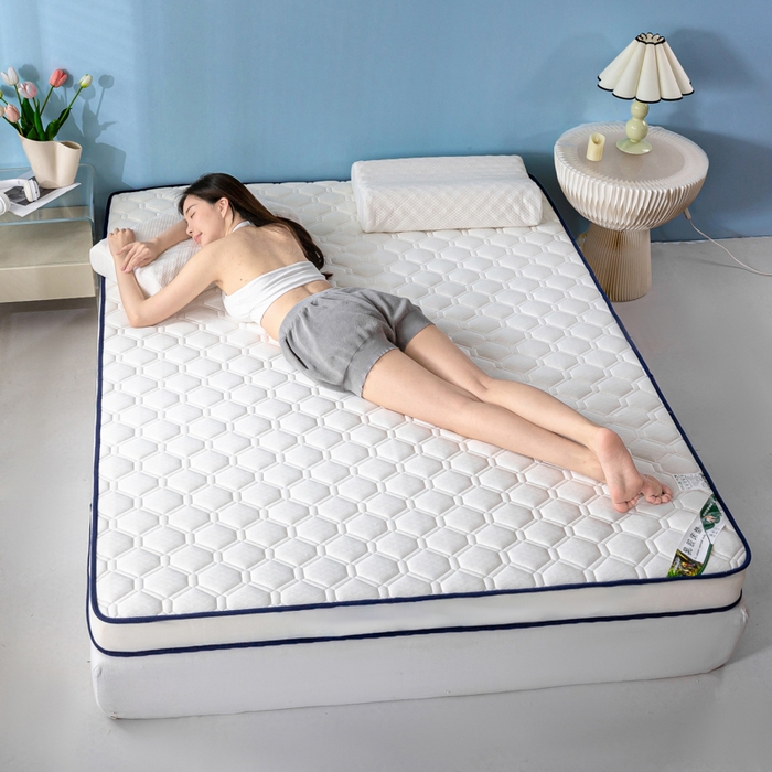 91家纺网 家纺一手货源 找家纺 缔莱被业 2024新款高端简约乳胶抗压记忆棉床垫软垫家用卧室床垫--白边 菱形白