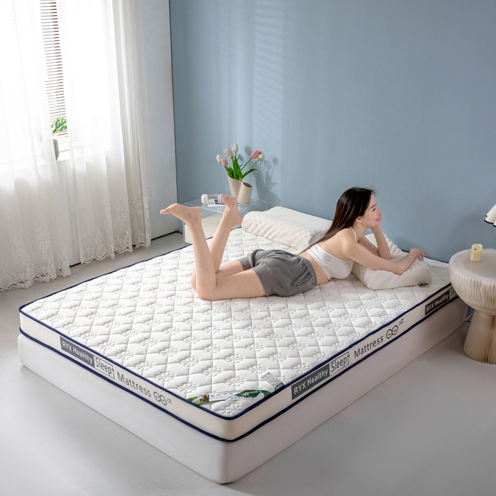 91家纺网 家纺一手货源 找家纺 缔莱被业 2024新款乳胶床垫软垫家用租房宿舍学生Q弹乳胶记忆棉垫--字母 花瓣白（白）