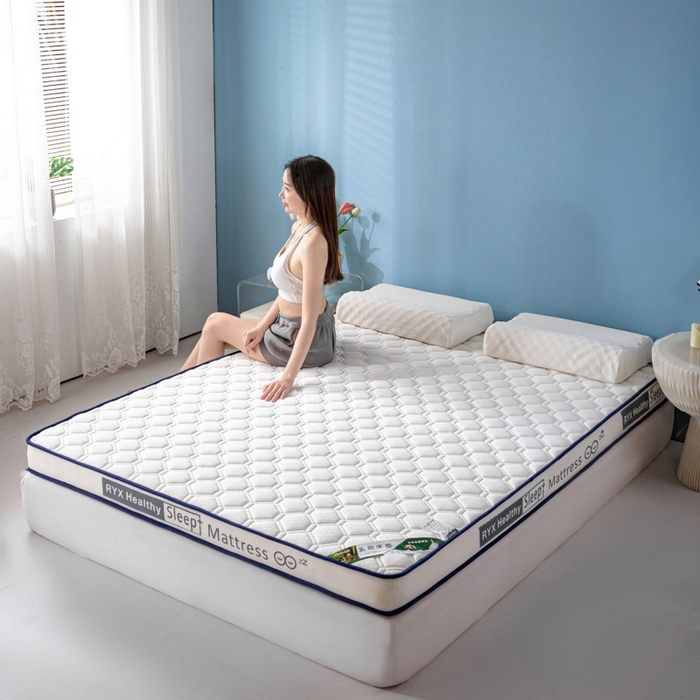 91家纺网 家纺一手货源 找家纺 缔莱被业 2024新款乳胶床垫软垫家用租房宿舍学生Q弹乳胶记忆棉垫--字母 菱形白（白）