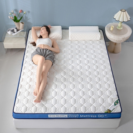 缔莱被业 2024新款乳胶床垫软垫家用租房宿舍学生Q弹乳胶记忆棉垫--字母 花瓣白（蓝）