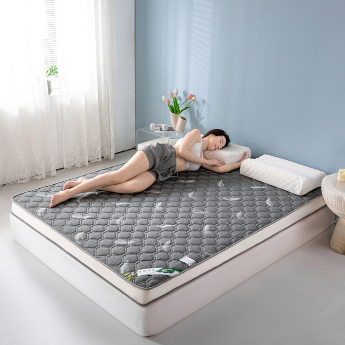 91家纺网 家纺一手货源 找家纺 缔莱被业 2024新款高端简约乳胶抗压记忆棉床垫软垫家用卧室床垫--白边 羽毛灰