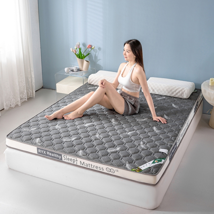 91家纺网 家纺一手货源 找家纺 缔莱被业 2024新款乳胶床垫软垫家用租房宿舍学生Q弹乳胶记忆棉垫--字母 羽毛灰（白）