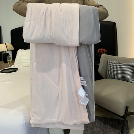 91家纺网 家纺一手货源 找家纺 （总）奈萝家纺 2025新款A类凉感丝小凉皮夏被可机洗夏被新品空调被